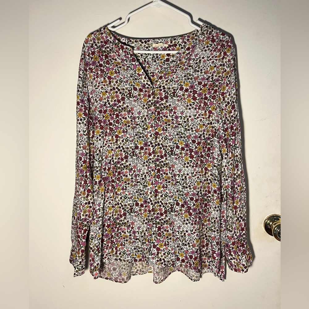 Size large, long sleeve, button down shirt